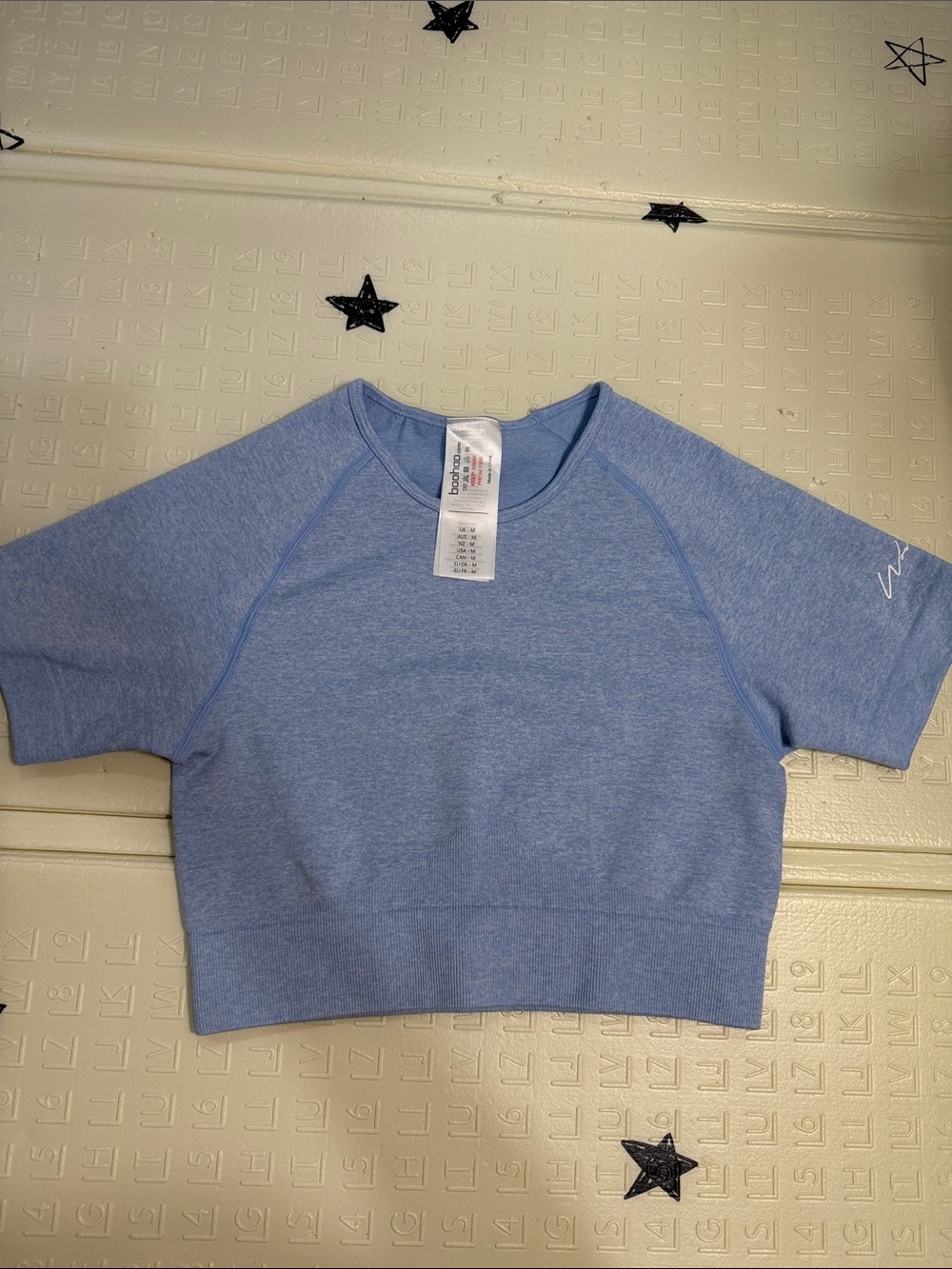 Boohoo Pale Blue Crewneck Crop Top